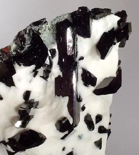 Neptunite - image 2