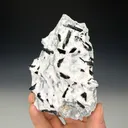 Neptunite - image 3