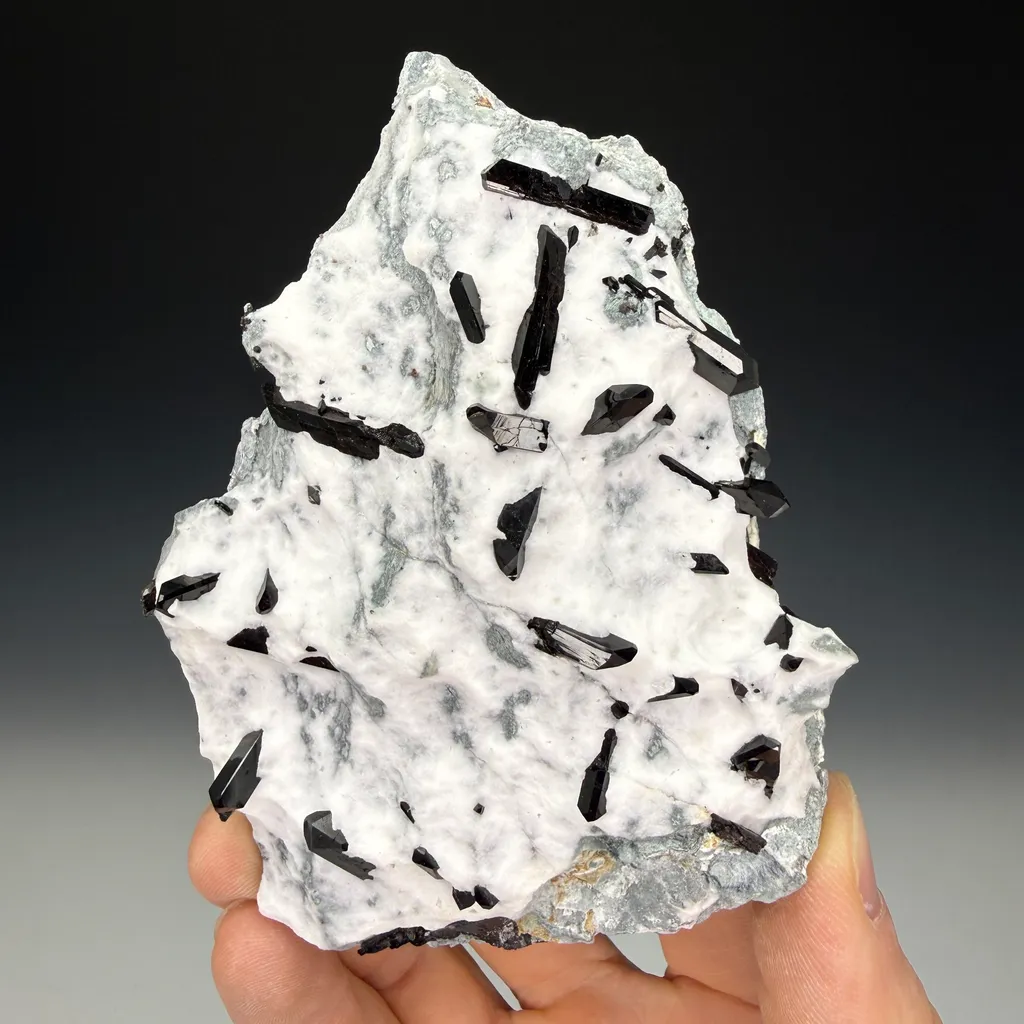 Neptunite image