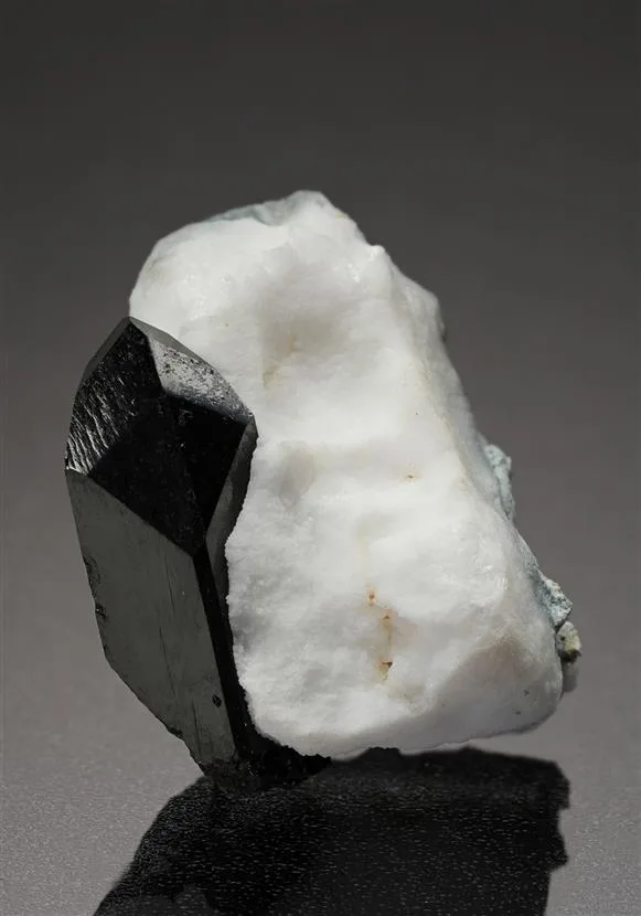 Neptunite image