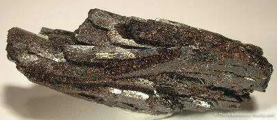 Neptunite image