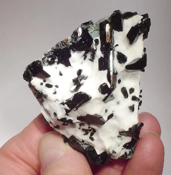 Neptunite image