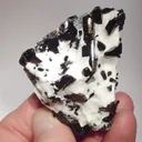 Neptunite - image 1