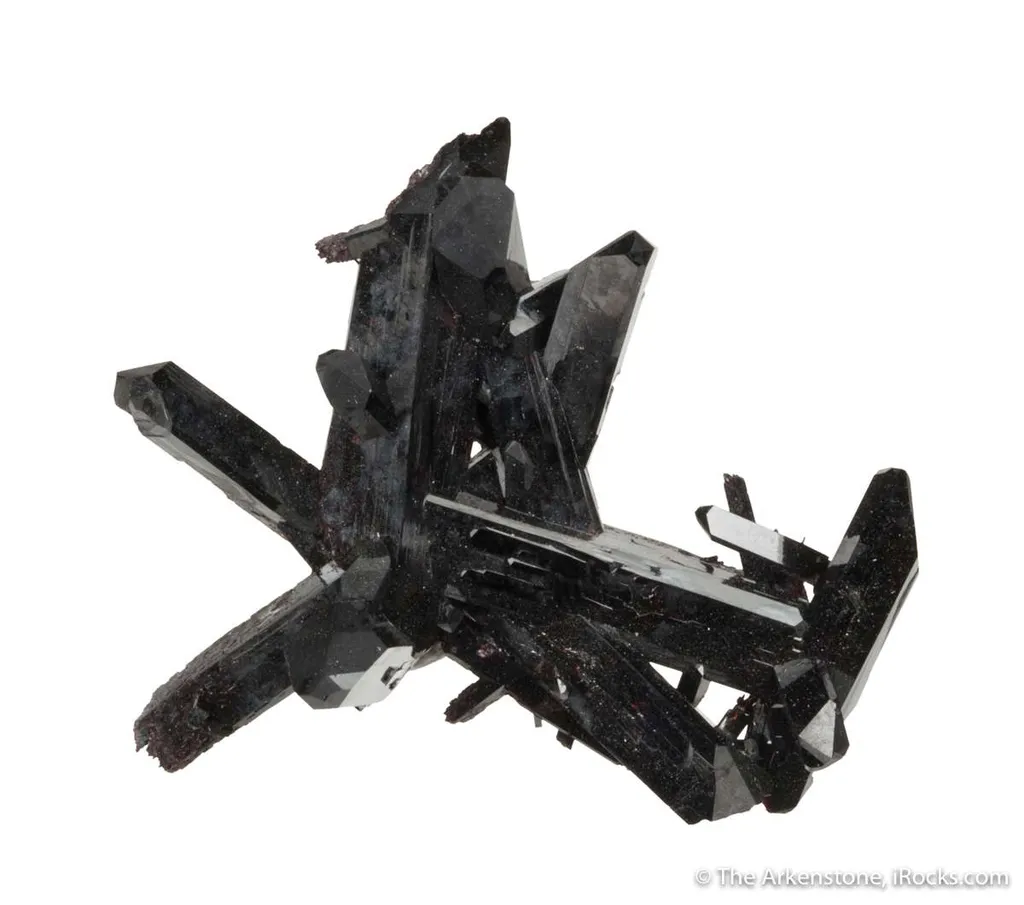 Neptunite image