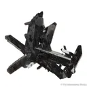 Neptunite - image 1