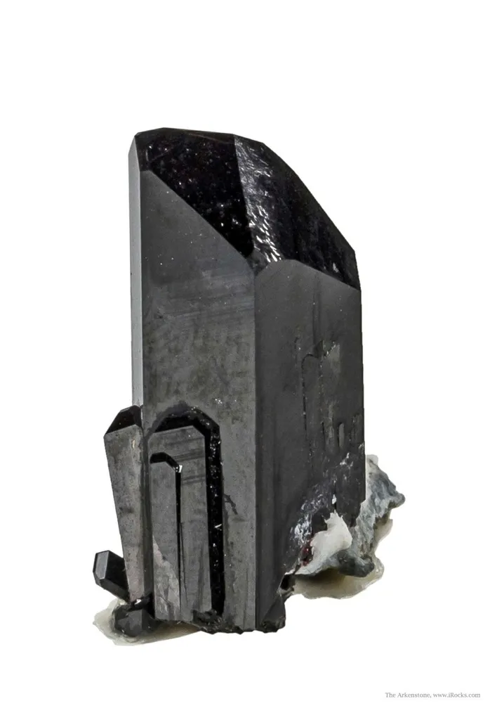 Neptunite image