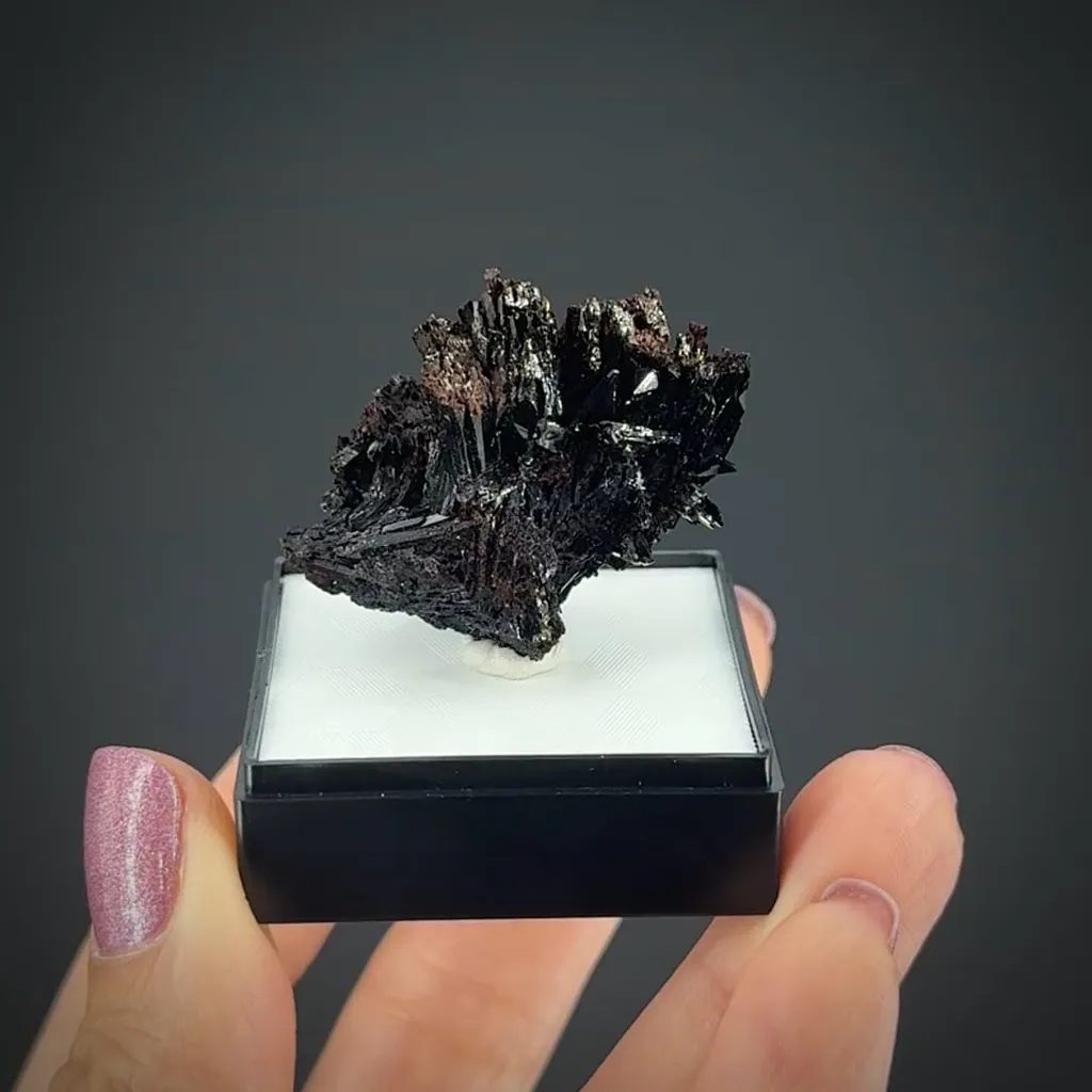 Neptunite image