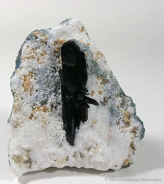 Neptunite image