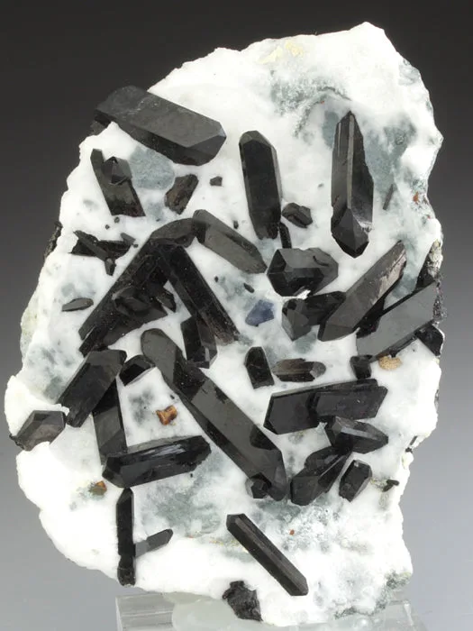 Neptunite image