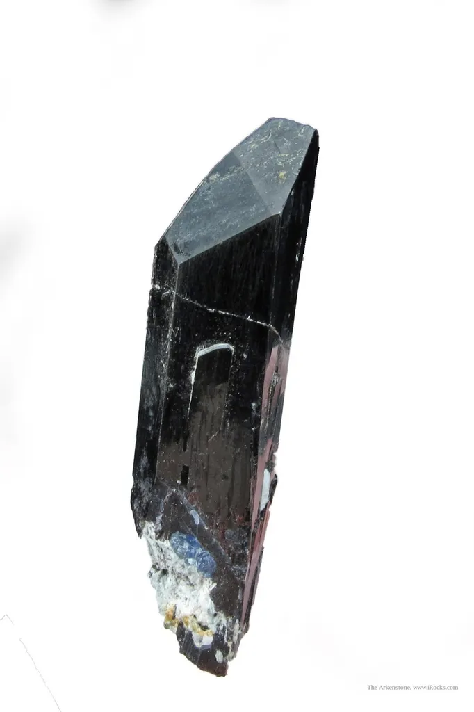 Neptunite image