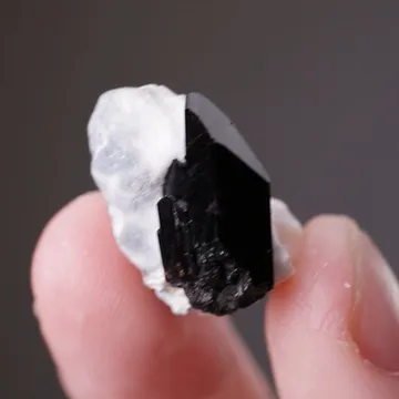 Neptunite