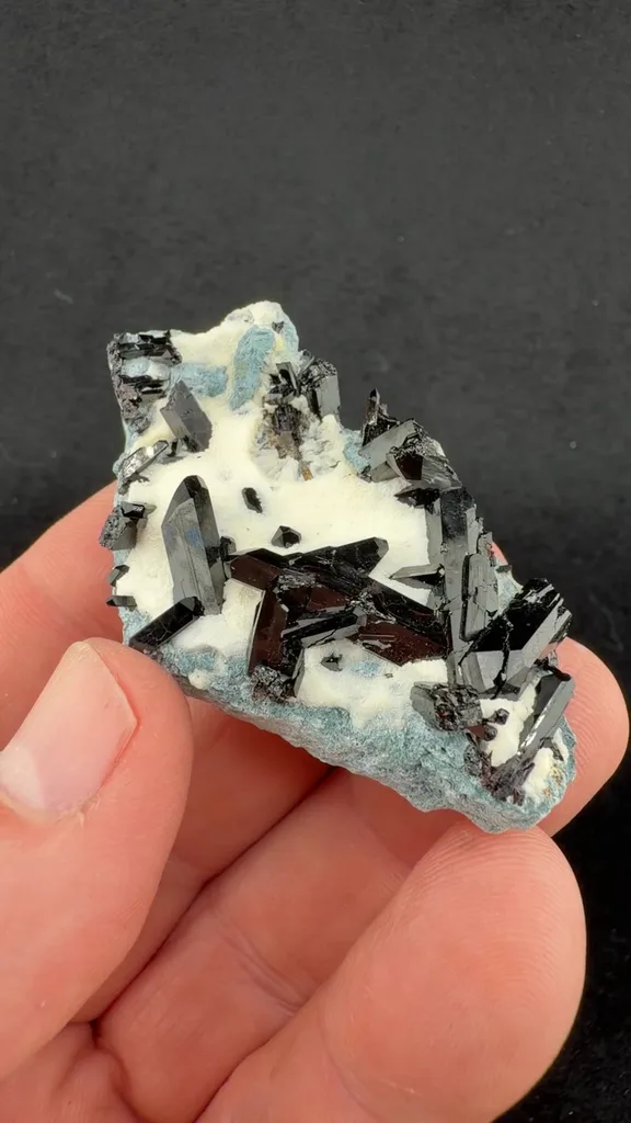 Neptunite from California State Gem Mine, California, USA - image 2