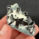 Neptunite from California State Gem Mine, California, USA - image 2