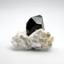 Neptunite from California State Gem Mine, California, USA - image 1