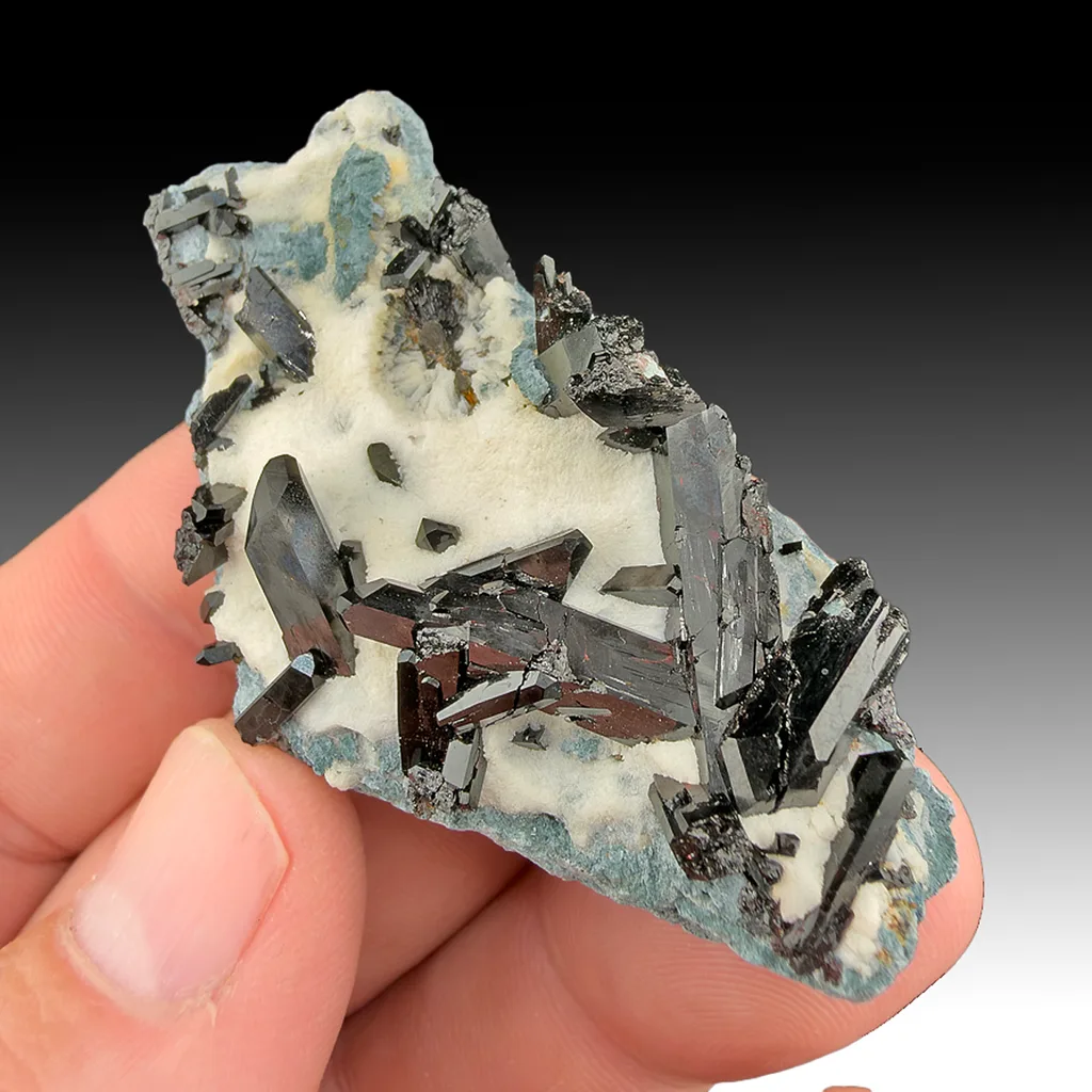 Neptunite from California State Gem Mine, California, USA - image 1