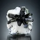 Neptunite from the Dallas Gem Mine, California - image 2