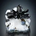 Neptunite from the Dallas Gem Mine, California - image 1