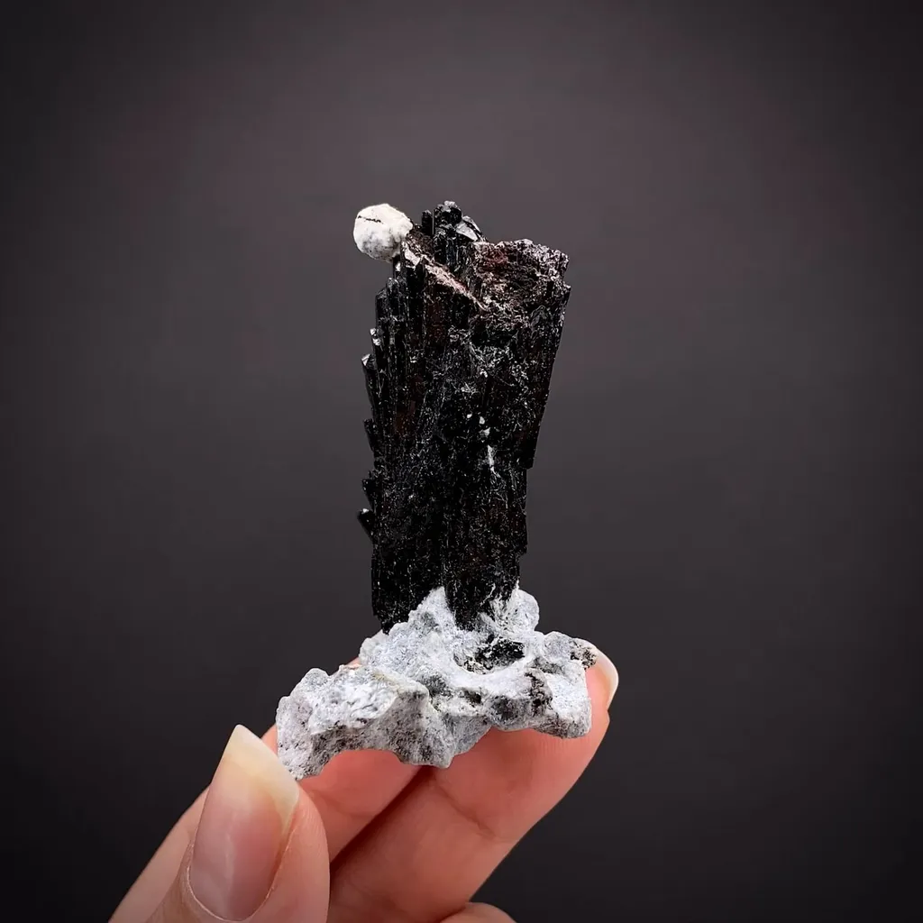 Neptunite on Crossite image