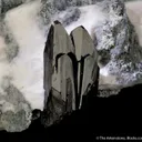 Neptunite on Natrolite - image 1