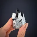 Neptunite on Natrolite - image 2