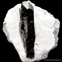 Neptunite on Natrolite - image 1
