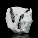 Neptunite on Natrolite - image 4