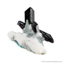 Neptunite on Natrolite with Benitoite - image 5