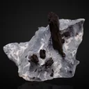 Neptunite (Twin) - image 1