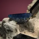 Neptunite with Benitoite - image 2