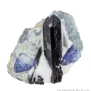 Neptunite with Benitoite - image 1