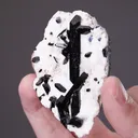 Neptunite with Benitoite - image 2