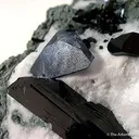 Neptunite With Benitoite - image 3