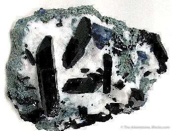 Neptunite With Benitoite image