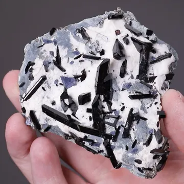 Neptunite with Benitoite