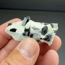 Neptunite with Benitoite, Natrolite (270) - image 2