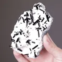 Neptunite with Joaquinite-(CE) - image 2