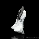 Neptunite with Natrolite - image 1