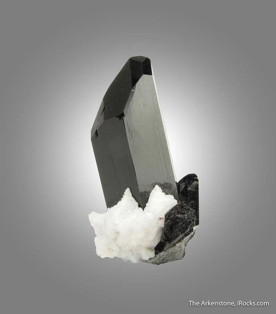 Neptunite with Natrolite image