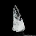 Neptunite with Natrolite - image 2