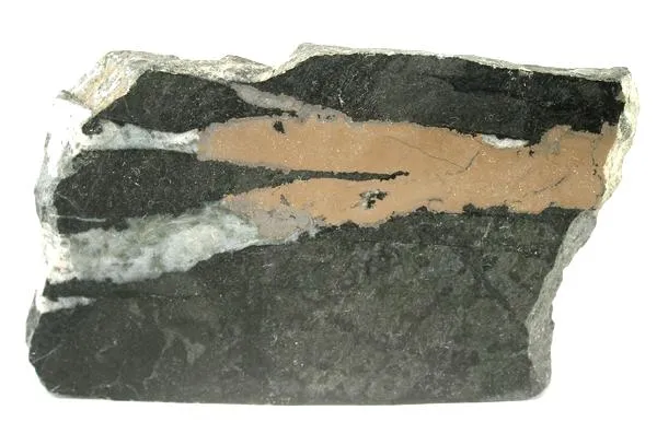 Nickeline image