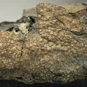 Nickeline - image 2