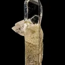 Nifontovite - image 1