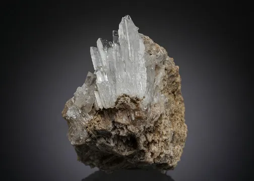 Nifontovite