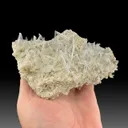 Nifontovite from Charcas, San Luis Potosí, Mexico - image 1