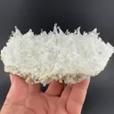 Nifontovite from Charcas, San Luis Potosí, Mexico - image 2