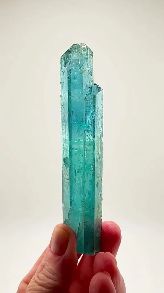 NIGERIAN Aquamarine KNOCKOUT image