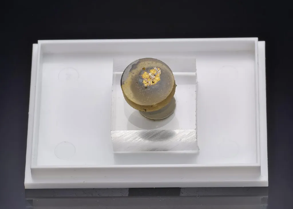 NIGGLIITE with MASLOVITE in Platinum ore image