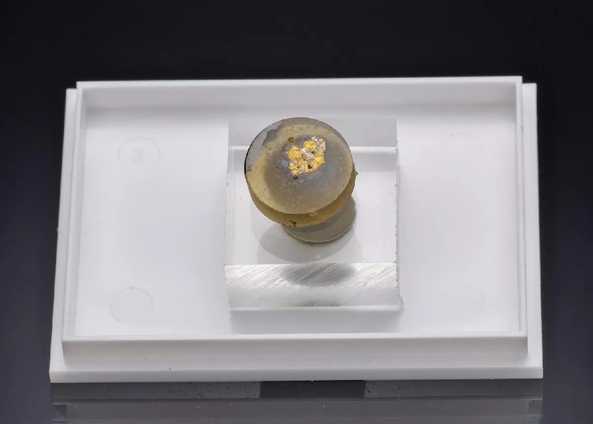 NIGGLIITE with MASLOVITE in Platinum ore - image 1