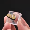 NIGGLIITE with PAOLOVITE and Cabriite - image 2