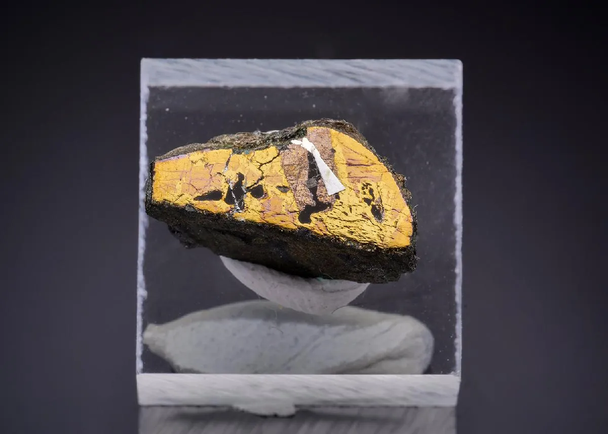 NIGGLIITE with PAOLOVITE and Cabriite - image 1